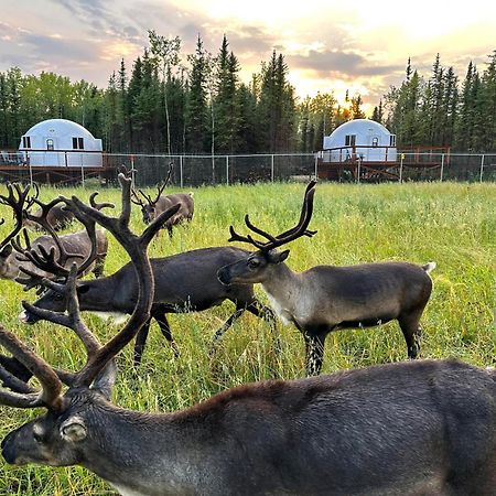 Pleasant Acres Reindeer Ranch Villa Pleasant Valley Екстериор снимка