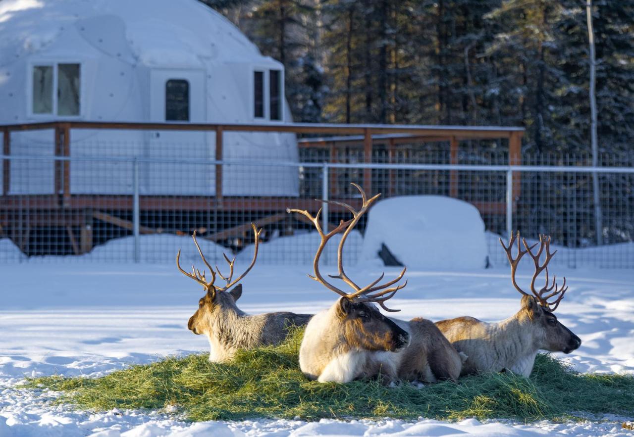 Pleasant Acres Reindeer Ranch Villa Pleasant Valley Екстериор снимка